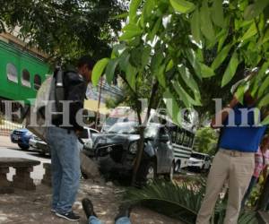 En el momento el vehículo se fue a estrellar contra un árbol ubicado en una pequeña plaza ubicada frente al Patronato Nacional de la Infancia (PANI) (Foto: Efraín Salgado/ElHeraldo).