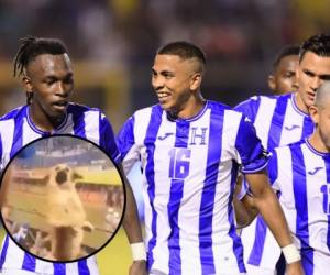 Mientras los jugadores de la Selección de Honduras celebraban uno de los goles, un perro en los hombros de su amo también era parte de la fiesta.