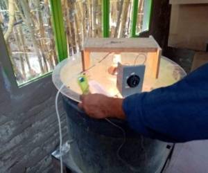 El proyecto piloto es familiar y se realiza en dos etapas.