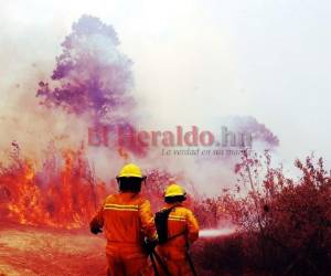 En tres meses y 13 días, Honduras registró 334 incendios forestales, todos ocurieron en 16 de los 18 departamentos, algunos de los que tienen más casos positivos de Covid-19. Foto: Estalin Irías/ EL HERALDO.