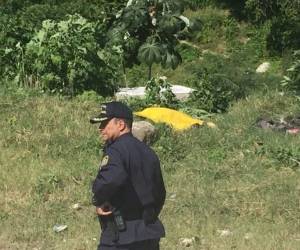 Los cuerpos quedaron entre unos arbusto detrás de Medicina Forense.