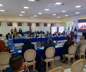 En la reunión estuvo presente el designado presidencial Carlos Flores.