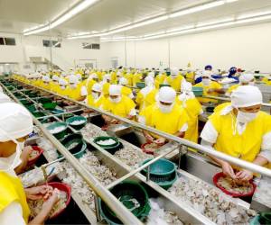 La recuperación de la industria también depende de nuevas inversiones. Los productores señalan que necesitan mejorar la productividad y la implementación de nuevas tecnologías.