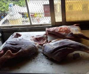 Hace un mes, durante un operativo, el Ministerio Público decomisó varios pedazos de carne en un restaurante de comida oriental ubicado en la colonia Torocagua de Comayagüela. Foto: Cortesía Ministerio Público.