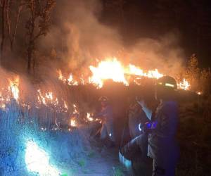 La capital contabiliza 122 incendios forestales durante el 2026, con una significativa reducción en las hectáreas dañadas este año.