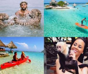 Estas son solo algunas de las actividades que te ofrece Little French Key en Roatán.