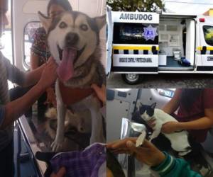 El vehículo de auxilio animal fue bautizado como 'Ambudog'. Fotos cortesía Facebook
