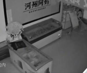 El epicentro sísmico se localizó a unos 9.6 kilómetros de profundidad y a unos 37 kilómetros al oeste-noroeste de Linxia Chengguanzhen, en China.