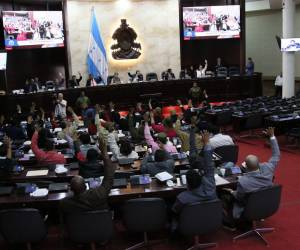 La sesión extraordinaria presidida por Luis Redondo solo contaba con diputados y suplentes de Libre.