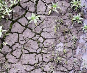 La capital de Honduras, Tegucigalpa, afronta una crisis histórica de agua potable debido a la prolongada escasez de lluvias, que ha reducido a niveles críticos las reservas de sus dos principales represas y obligado a las autoridades a endurecer los racionamientos para sus 1.6 millones de habitantes. Las siguientes imágenes registran la alarmante situación.