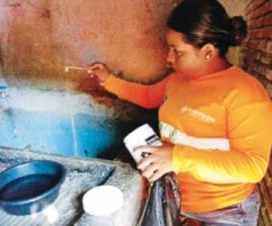 Las jornadas de limpieza y fumigación se duplicarán a partir de mañana en la zonas del país con mayor incidencia de dengue.