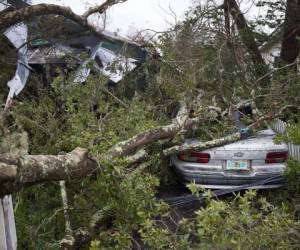 Varios vehículos fueron aplastados por los árboles que cayeron por los fuertes vientos. Foto: Agencia AFP
