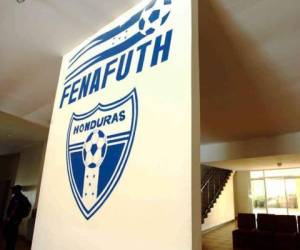 La situación de la Fenafuth es muy clara, no van a contratar un técnico hasta el siguiente año porque están endeudados. Foto: EL HERALDO
