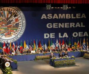 Entre los activistas marcharon ciudadanos de México, El Salvador, Argentina, Costa Rica y Uruguay, entre otros países representados en la OEA.
