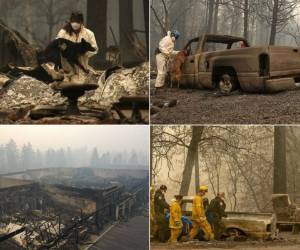 Los incendios que continúan asolando California dejan al menos 59 muertos, según el último balance revelado por las autoridades, que incrementan sus esfuerzos para seguir la pista de unas 130 personas reportadas como desaparecidas. Aquí te presentamos algunas de las fotos más desgarradoras captadas en Paradise, el pueblo de California que desapareció a causa de las llamas. (Fotos: Agencia AFP)