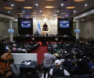 Diputados del Congreso Nacional se preparan para una sesión del pleno en la que podrían asumir funciones de escrutinio electoral ante retrasos del CNE.