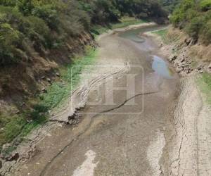La Secretaría de Gestión de Riesgos y Contingencias Nacionales (Copeco) amplió este martes 26 de mayo la alerta verde por sequía en Honduras, incorporando 15 nuevos municipios a la medida preventiva debido a las condiciones climáticas que afectan gran parte del territorio nacional.