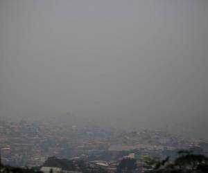 Empleados públicos continuarán realizando teletrabajo por contaminación