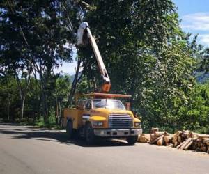 La Alcaldía Municipal realizará la reubicación de líneas en la capital de Honduras.