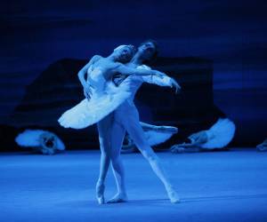 “El Lago de los cisnes” es una obra maestra del ballet clásico.