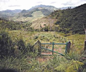 El santuario de biodiversidad está bajo la sombra de amenazas.