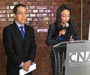 El Consejo Nacional Anticorrupción presentó este lunes una nueva línea de investigación.