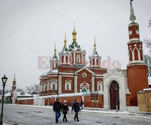El parlamentario pidió que los perros callejeros sean colocados en centros temporales y esterilizados.