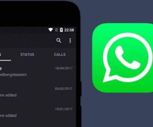 El modo oscuro es una de las funciones que se espera en WhatsApp desde mediados de 2019. Foto: WhatsApp.