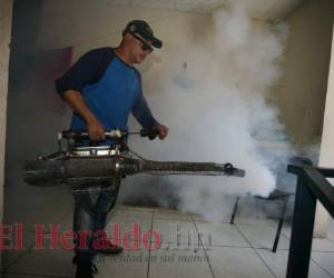 Las acciones de fumigación contra el zancudo deben realizarse en horas de la madrugada y en la noche.