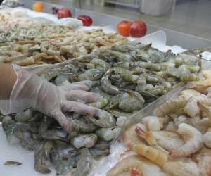 Durante el primer semestre de 2024, las exportaciones alcanzaron 30,520,324 libras, comparado con 38,847,445 libras en el mismo periodo de 2023, lo que representa una caída del 21.42%.