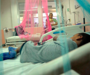Costa Rica, El Salvador y Nicaragua no han reportado muertes por dengue hasta el momento.