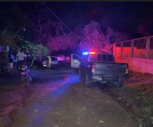 La Policía acordonó la escena para comenzar con la investigación que ayude a dar con el victimario de Hilda Meléndez.