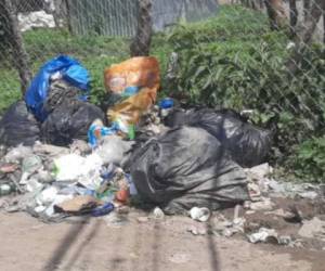 Para los habitantes de Danlí, encontrar basura en cada esquina es normal.