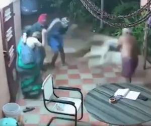 Momento en que los ladrones pelean con los ancianos. Captura de video.