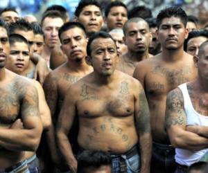 MS-13, o Mara Salvatrucha, se formó en Los Ángeles a mediados de la década de 1980. Foto: Archivo AFP.