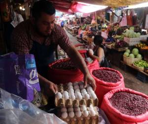 A partir de 2019 y a nivel de Centroamérica, Guatemala y Honduras tienen la canasta básica alimenticia más cara que a noviembre de 2023 superaba los 489 dólares.