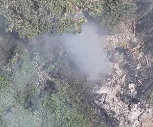 Testigos citados por medios locales aseguraron haber visto una columna de humo negro y llamas intensas en el lugar del impacto poco después de que la aeronave se precipitara.