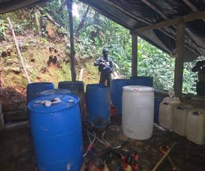 Durante la inspección en el área se aseguró una instalación artesanal que contenía precursores químicos presuntamente utilizados para el procesamiento de droga. Aquí las imágenes de los aseguramientos en varias zonas montañosas de Colón.