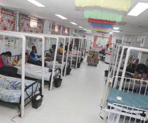 Autoridades sanitarias advierten sobre el incremento de dengue en la capital y piden atención temprana ante síntomas de la enfermedad.