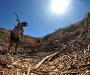Miles de hondureños se encuentran en inseguridad alimentaria debido a la falta de agua. La sequía en Honduras mantiene en alerta a varios municipios, donde las lluvias están muy por debajo del promedio.