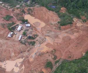 Cinco años después de que EL HERALDO Plus documentara la carretera ilegal que abrió paso al ecocidio en la Biosfera del Río Plátano, un nuevo operativo aéreo confirmó que la amenaza continúa
