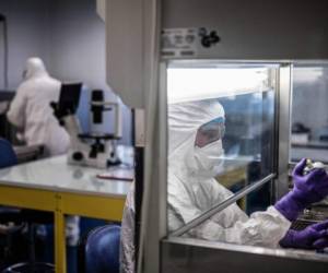 Los científicos están trabajando en el laboratorio universitario de VirPath, clasificado como nivel de seguridad 'P3'. AFP.