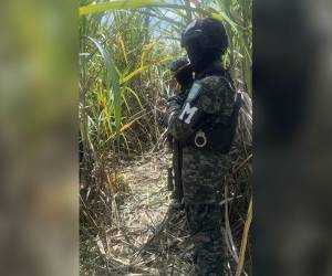 El cuerpo de la joven fue hallado semienterrado en medio de las cañeras.
