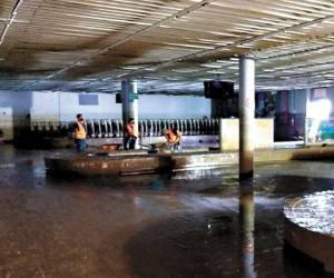 Los trabajos de limpieza siguen en el aeropuerto Ramón Villeda Morales de la zona norte y se busca habilitarlo antes de que finalice 2020.