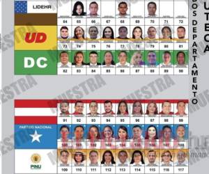 De la totalidad de los 117 candidatos a diputados, solamente cinco aspirantes buscan la reelección en el Congreso Nacional. Foto: Cortesía/El Heraldo