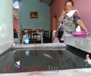 La implementación de peces en las pilas data de hace una década en Jacaleapa, El Paraíso, al oriente de Honduras. Fotos: Juan Flores / EL HERALDO.