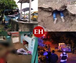 El hallazgo de un túnel en Renaciendo, la primera masacre de 2020, detenciones y asesinatos forman parte de los sucesos más impactantes que ocurrieron esta semana en Honduras; aquí el recuento...