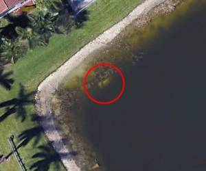 Vista del carro en las aguas del lago de Grand Isles en Florida, Estados Unidos. Foto: Google Earth.