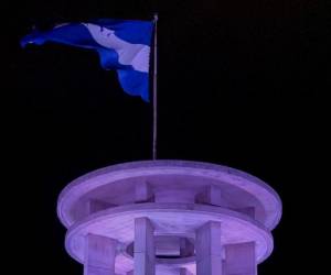 El diputado José Jaar propone reformar la normativa de la Bandera Nacional para establecer el azul turquí en las franjas superior e inferior del pabellón.
