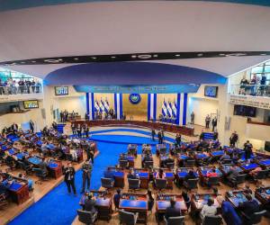 El Nuevo Congreso reeligió al presidente Ernesto Castro.